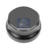 DT 10.10609 Cap, wheel bearing